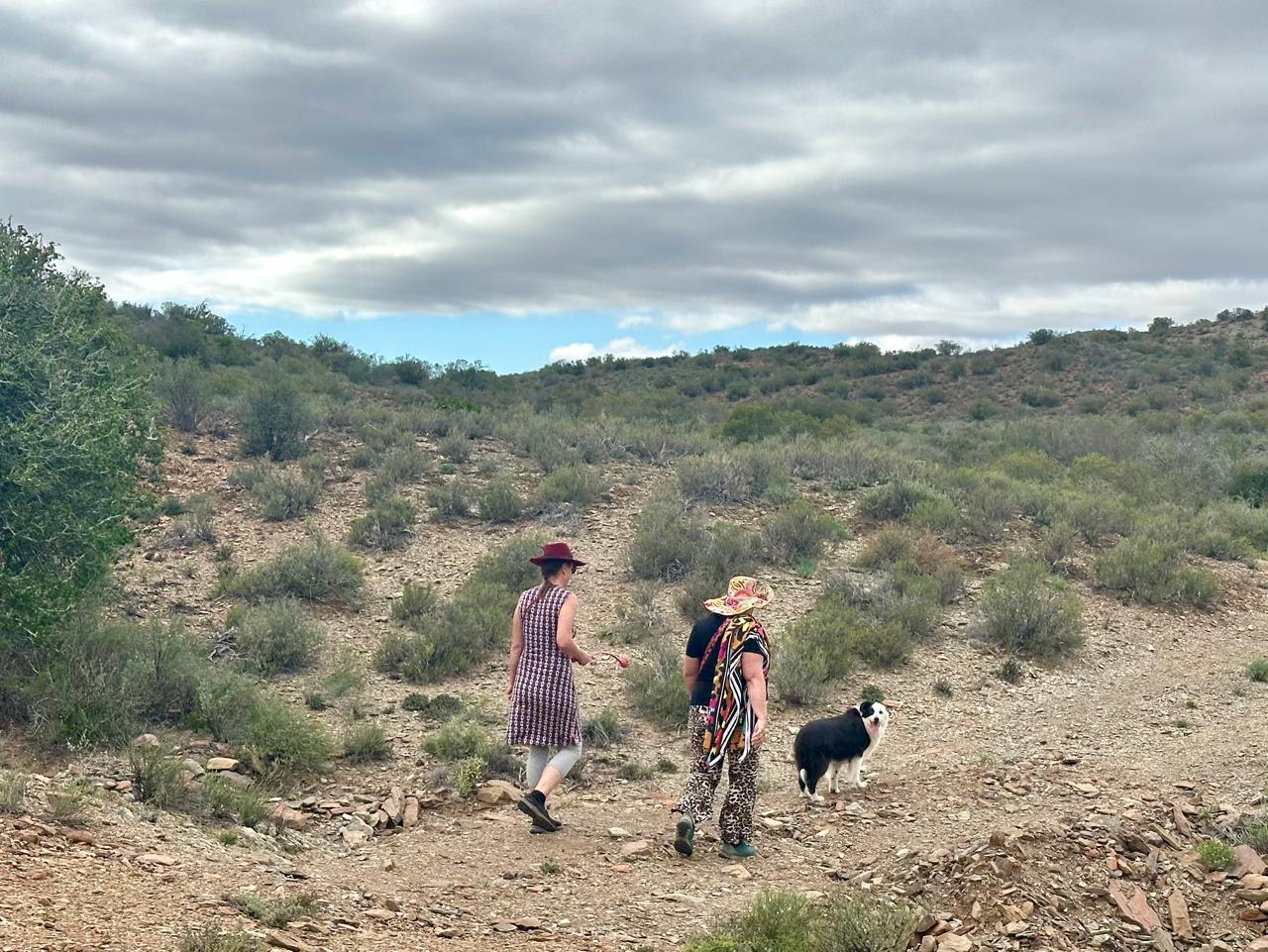Group Hike