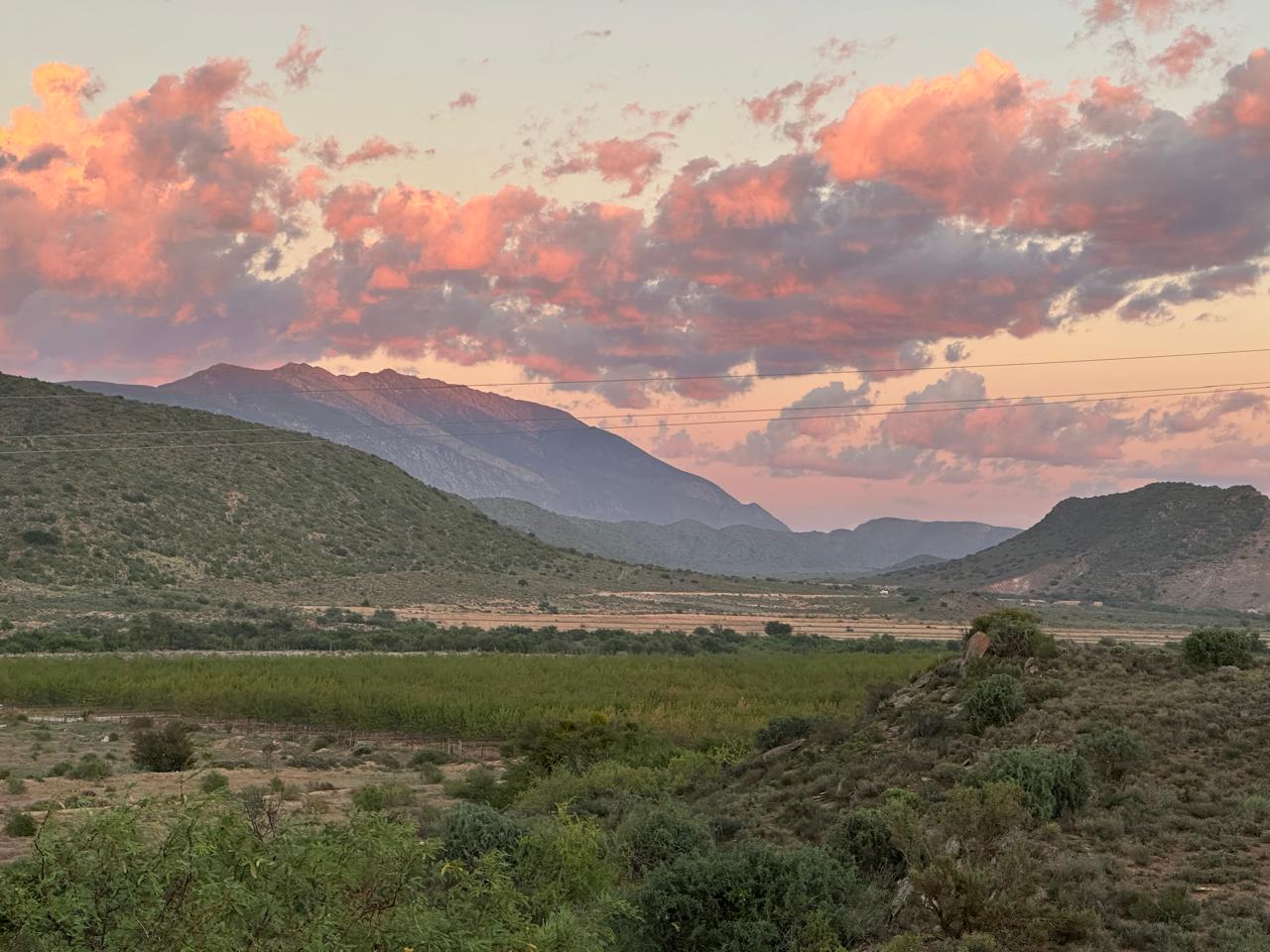 Buffels View